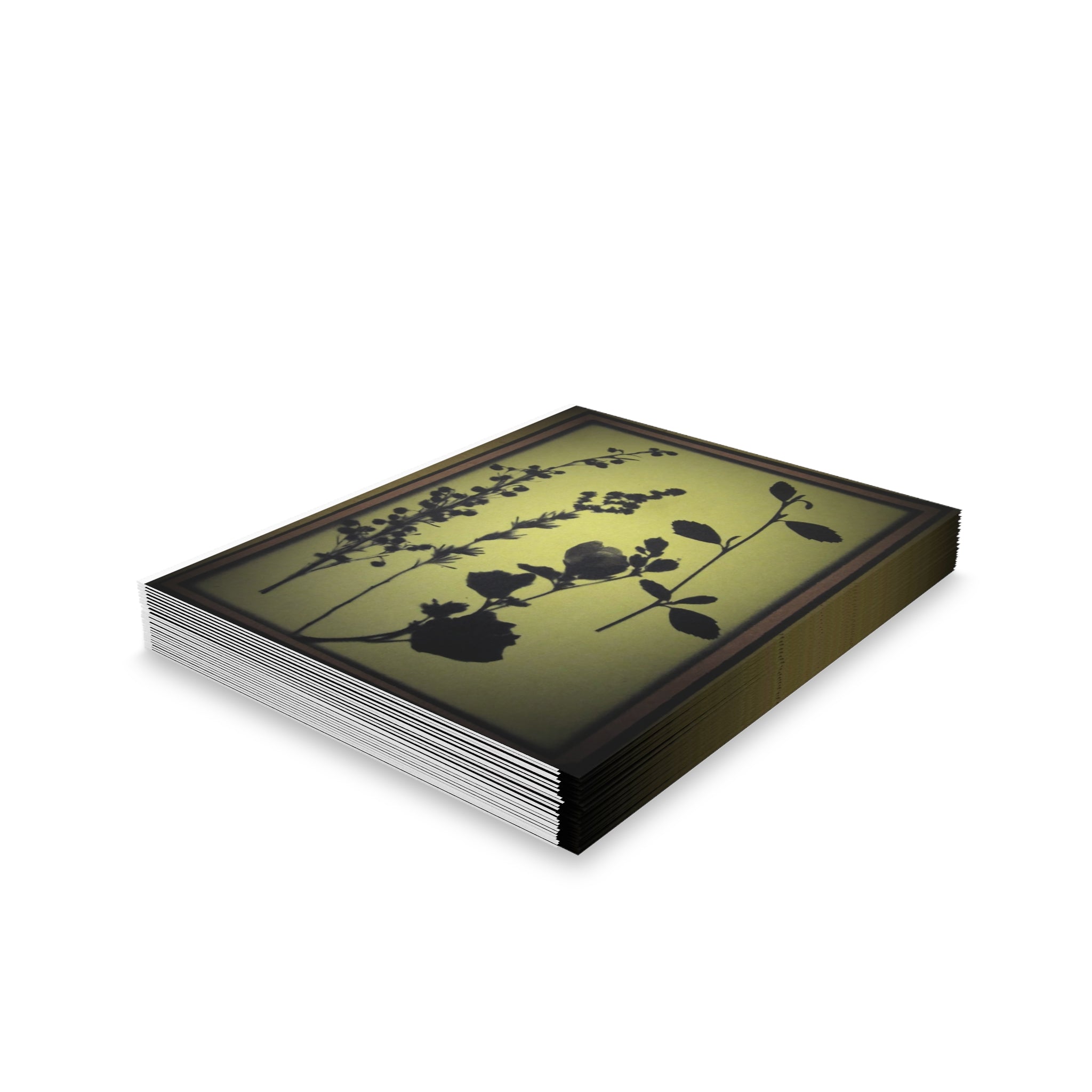 Greeting cards (8, 16, and 24 pcs)