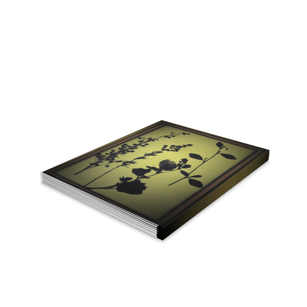 Greeting cards (8, 16, and 24 pcs)