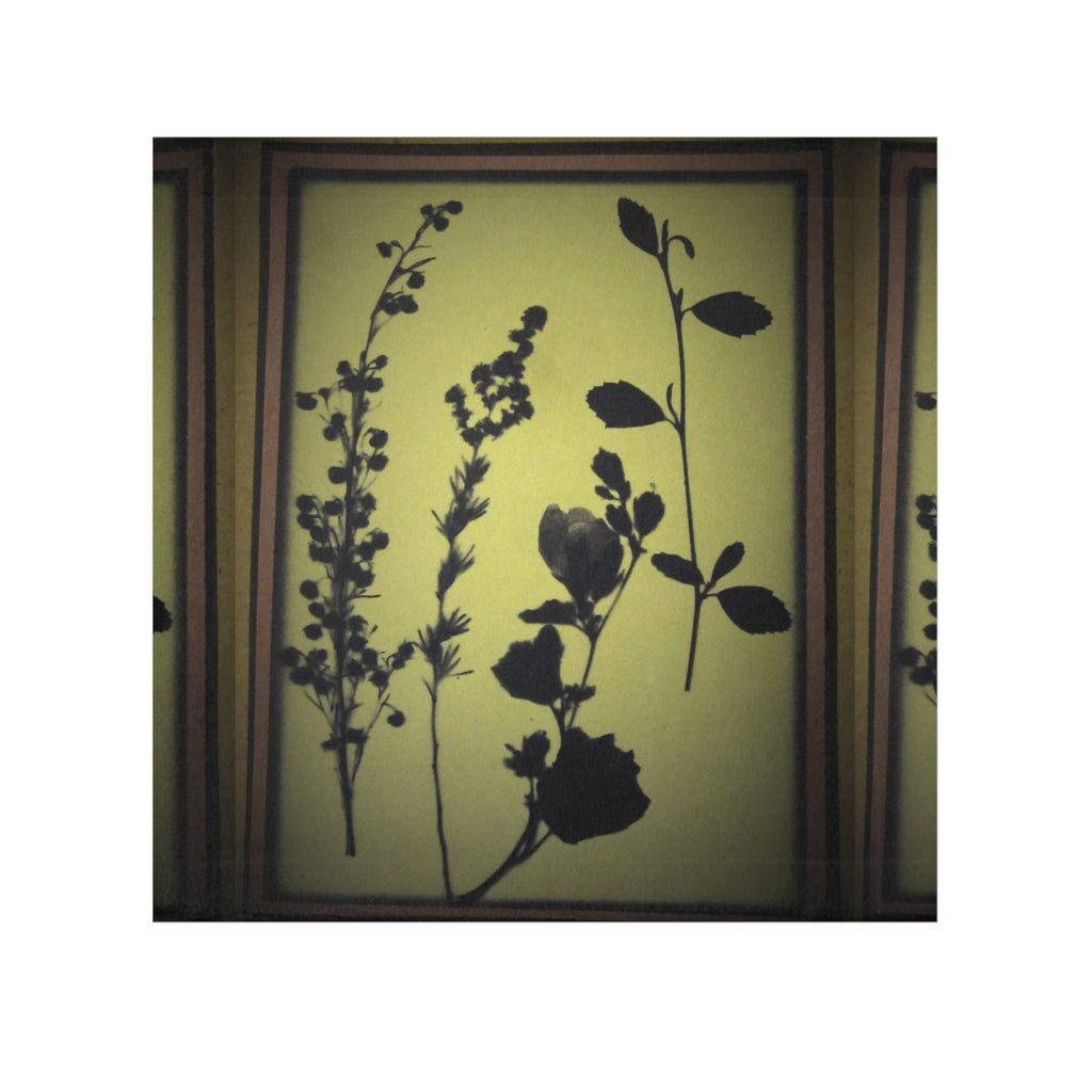 Botanical Silhouette Face Towel – Floral Herb Print Hand Towel