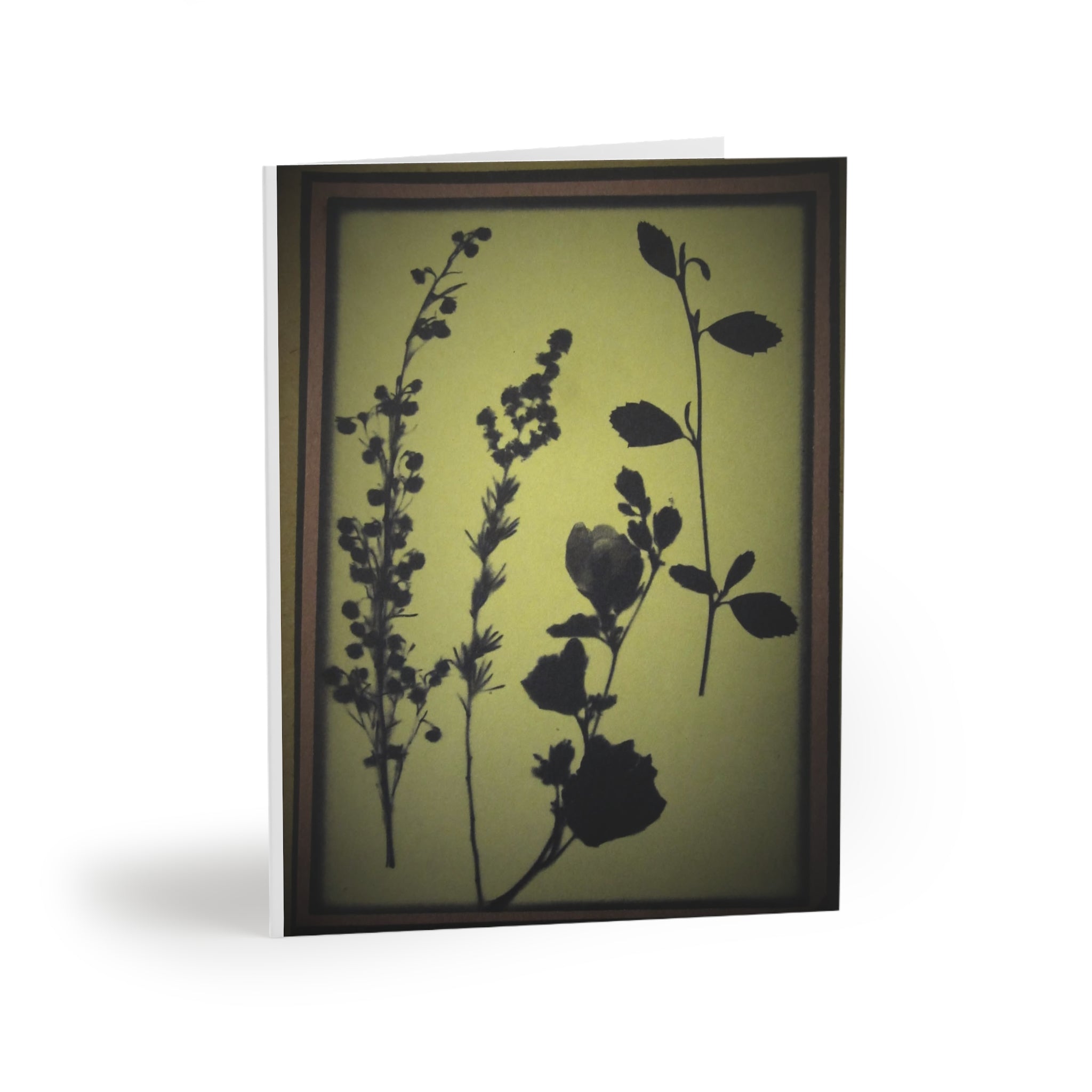 Greeting cards (8, 16, and 24 pcs)
