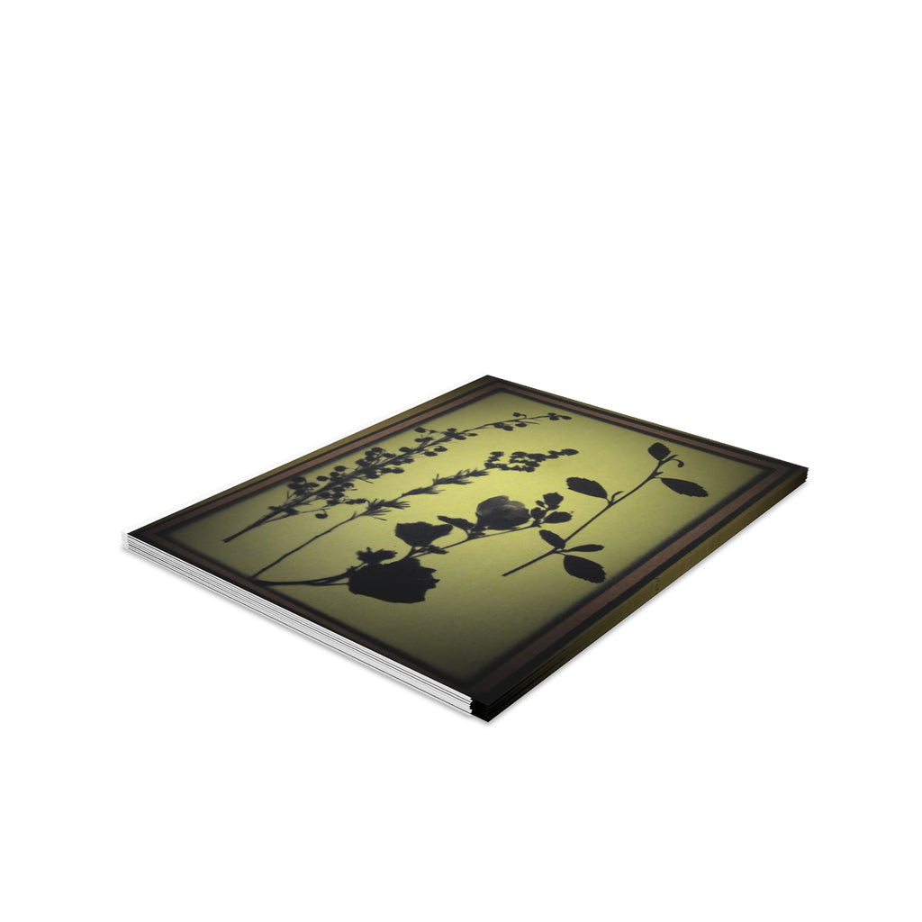 Greeting cards (8, 16, and 24 pcs)