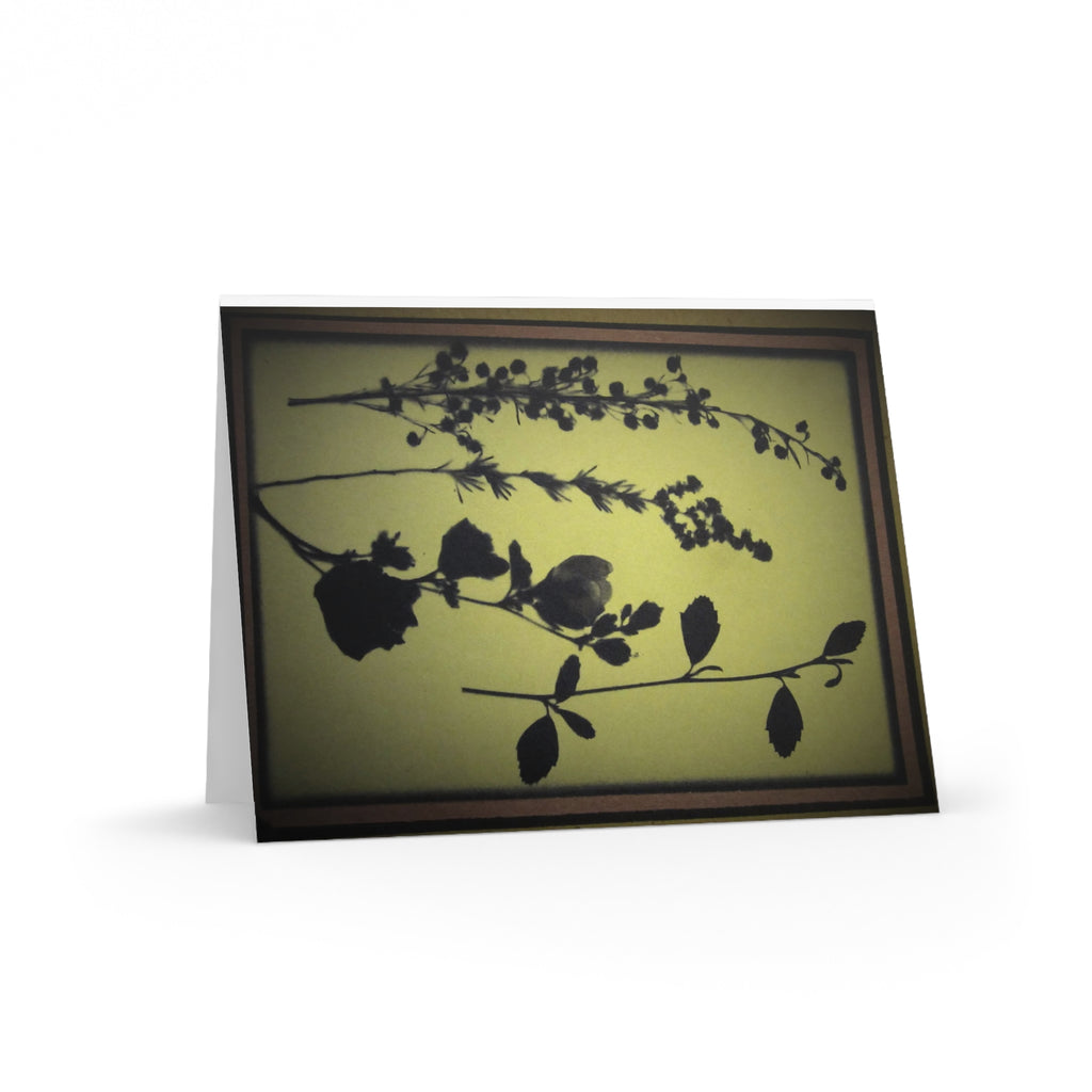 Greeting cards (8, 16, and 24 pcs)